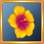 Tropical Hibiscus