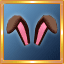 Brown Bunny Ears