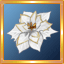 White Poinsettia