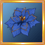 Blue Poinsettia