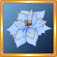 Light Blue Poinsettia