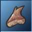 Hatchling Teeth