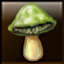 Poisonous Mushroom