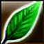 Sprout
