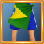 Team Brazil Soccer Shorts
