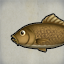 Earth Koi