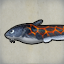 Stone Catfish
