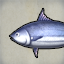 Iron Tuna