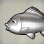 Silver Carp