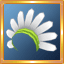 White Flower Band