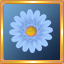 L.Blue Gerber Daisy