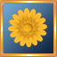 Yellow Gerber Daisy