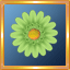 L.Green Gerber Daisy