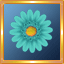 Turquoise Gerber Daisy