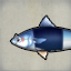School Mackerel