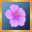 Light Purple Hibiscus