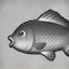 Black Carp