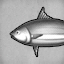 Black Tuna