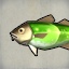 Emerald Cod