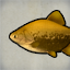Pacu