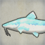 Transparent Catfish