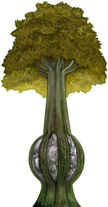 Ancient-Tree